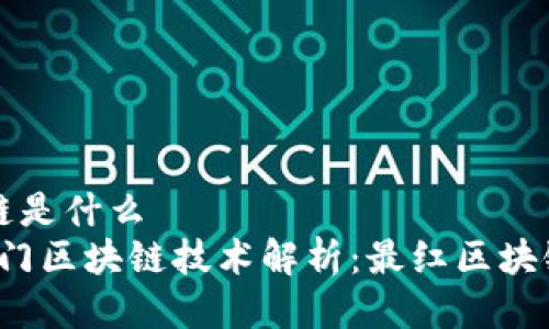 最红区块链是什么
2023年热门区块链技术解析：最红区块链及其应用