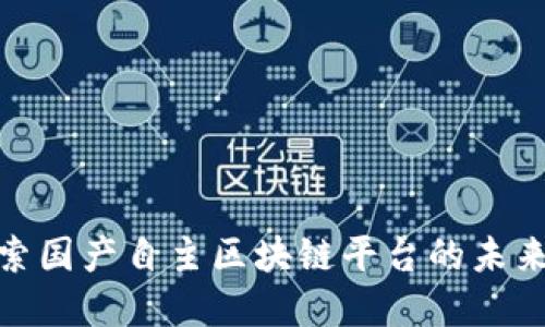 : 探索国产自主区块链平台的未来发展