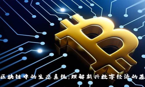 : 区块链中的生态系统：理解新兴数字经济的基础