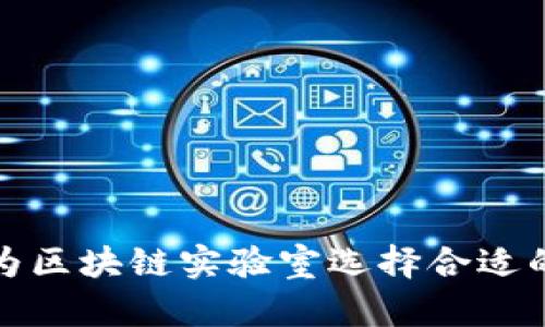 如何为区块链实验室选择合适的名称