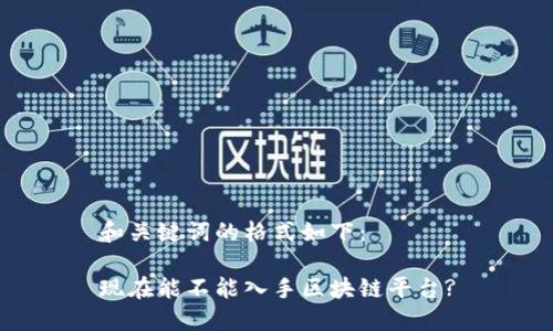 和关键词的格式如下：

现在能不能入手区块链平台?