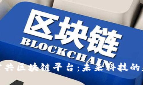 开源的公共区块链平台：未来科技的基础设施