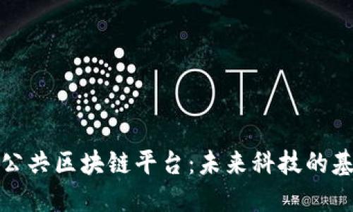开源的公共区块链平台：未来科技的基础设施