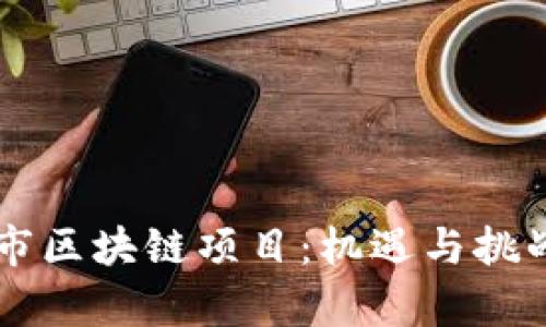 未上市区块链项目：机遇与挑战分析