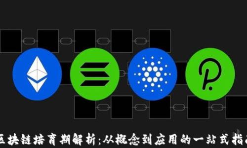 
区块链培育期解析：从概念到应用的一站式指南