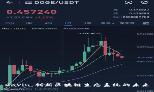 Gavin：创新区块链生态系统的未来