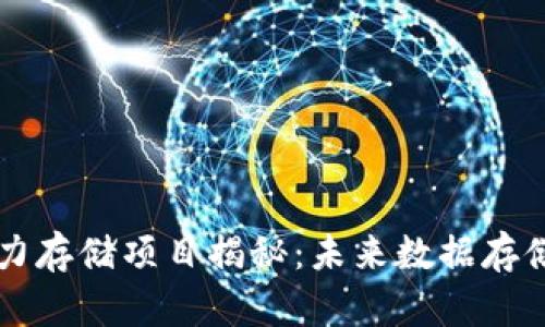 区块链算力存储项目揭秘：未来数据存储的新方式