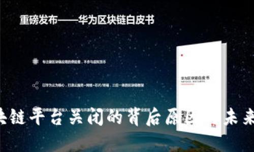  区块链平台关闭的背后原因与未来展望
