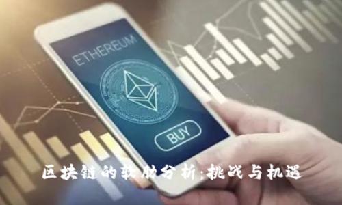 区块链的软肋分析：挑战与机遇