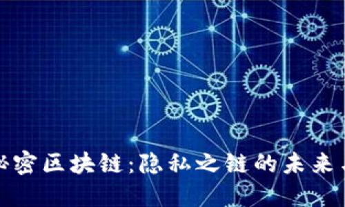 揭秘秘密区块链：隐私之链的未来与挑战
