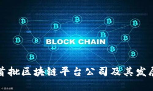 国内首批区块链平台公司及其发展现状