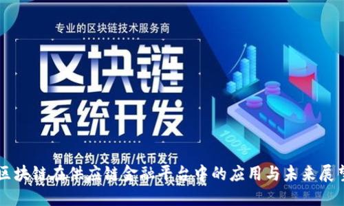 区块链在供应链金融平台中的应用与未来展望