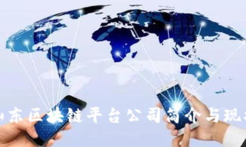 山东区块链平台公司简介与现状