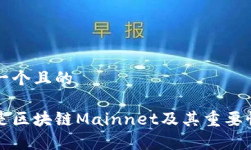 思考一个且的

什么是区块链Mainnet及其重要性解析