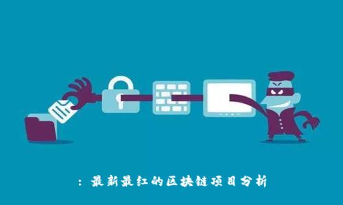 : 最新最红的区块链项目分析