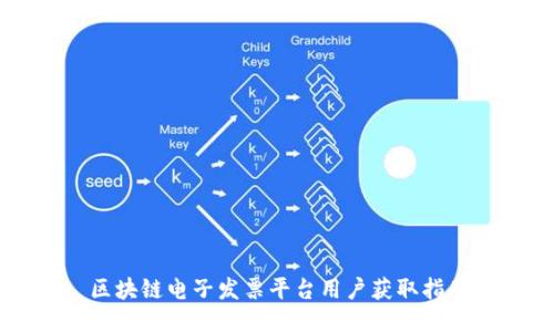 区块链电子发票平台用户获取指南