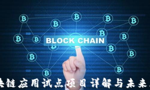 
区块链应用试点项目详解与未来展望