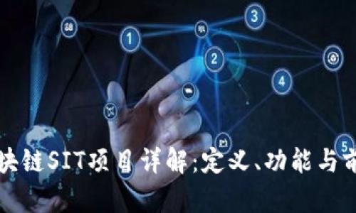 区块链SIT项目详解：定义、功能与前景