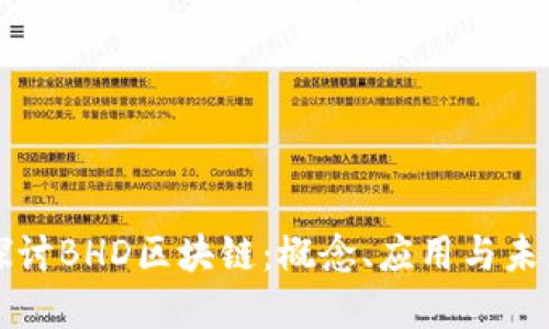 深入探讨BHD区块链：概念、应用与未来发展