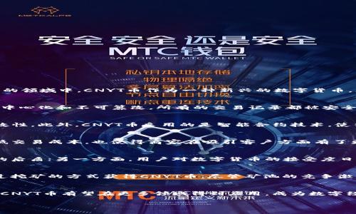 区块链CNYT是什么？深入解析区块链技术与CNYT币的未来潜力

区块链, CNYT, 数字货币/guanjianci

引言：区块链时代的到来
随着科技的发展，区块链这一颠覆性的技术逐渐走入人们的视野。它的初衷是为了支持比特币这样一种数字货币，但如今，它的应用已经扩展到了金融、物流、医疗等各个领域。而在这个快速发展的领域中，CNYT币作为一种新兴的数字货币，正展现着它独特的价值与潜力。多么令人振奋啊！

什么是CNYT币？
CNYT币，全称为“China Yuan Token”，是基于区块链技术发行的一种数字货币。它不仅仅是一种交易工具，更是连接现实经济与数字经济的重要桥梁。与传统货币不同，CNYT币的最大特点是去中心化和不可篡改，所有的交易记录都被安全地存储在区块链上。这意味着，用户可以在没有中央权威的情况下，自由地进行交易，享受到更加高效和透明的金融服务。

CNYT币的技术基础
作为一种基于区块链的数字货币，CNYT币的背后有着强大的技术支持。区块链是一种分布式账本技术，能够确保交易的安全性和隐私性。每一笔交易都通过复杂的加密算法进行验证，确保其有效性。此外，CNYT币采用的是智能合约技术，使得复杂的交易可以自动执行，无需第三方干预。这种技术的运用，大大提升了交易的效率和安全性，让人倍感安心！

CNYT币的应用场景
CNYT币并不仅限于在线交易，在现实生活中也逐渐被各个行业所接受。在电子商务领域，许多商家开始接受CNYT币作为支付方式，用户可以用CNYT币进行购物，这不仅方便了消费者，有助于降低交易成本，也使得商家在吸引客户方面有了更多选择。此外，在跨境支付和海外投资中，CNYT币也展现出巨大的可行性。想象一下，使用CNYT币进行跨境交易，不仅迅速方便，还大大减少了中间环节的费用，这无疑是数字经济中的一股清流！

CNYT币的未来前景
随着全球数字货币的热潮持续升温，CNYT币的前景也愈发明朗。虽然现在市场上已有多种数字货币，但CNYT币依然凭借其独特的优势崭露头角。一方面，国家政策的支持，为CNYT币提供了有力的后盾；另一方面，用户对数字货币的接受度日益提高，使得CNYT币在实际应用中将得到进一步的推广与认可。这一切都表明CNYT币将迎来巨大的发展机遇，不得不令人感到兴奋！

如何获得CNYT币？
想要进入CNYT币的世界，首先需要选择一个可靠的数字货币交易平台。在这些平台上，用户可以通过法币购买CNYT币，或者通过其他数字货币进行兑换。此外，一些CNYT币的矿池也允许用户通过挖矿的方式获得CNYT币。尽管矿池的竞争激烈，但对技术有了解的用户，依然能够通过自己的努力获得丰厚的回报。

总结：区块链与CNYT币的新时代
综上所述，CNYT币是基于区块链技术的一种新型数字货币，它不仅具备去中心化和高安全性的特性，还在实际应用中展现出广泛的潜力。未来，随着区块链技术的发展和国家政策的进一步支持，CNYT币有望在更多领域得到应用，成为数字经济的重要组成部分。让我们共同期待这个新时代的到来！

无论你是数字货币的爱好者，还是对区块链技术充满好奇的普通人，了解CNYT币及其背后的技术都是走进数字经济新世界的重要一步。让我们一起拥抱未来吧！