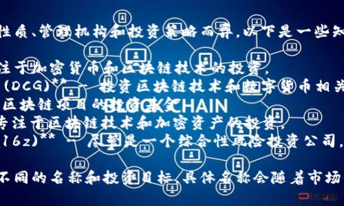 区块链基金的名称可以因基金的性质、管理机构和投资策略而异。以下是一些知名的区块链投资基金名称：

1. **Pantera Capital** - 专注于加密货币和区块链技术的投资。
2. **Digital Currency Group (DCG)** - 投资区块链技术和数字货币相关企业。
3. **CoinFund** - 一个专注于区块链项目的投资基金。
4. **Blockchain Capital** - 专注于区块链技术和加密资产的投资。
5. **Andreessen Horowitz (a16z)** - 尽管是一个综合性风险投资公司，但其区块链投资也受到广泛关注。

不同类型的区块链基金可能会有不同的名称和投资目标，具体名称会随着市场的发展而变化。