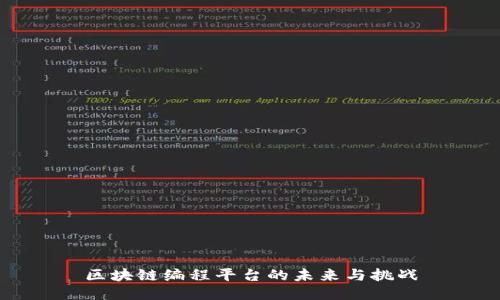 区块链编程平台的未来与挑战