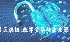 赛特区块链：数字金融的未来驱动力